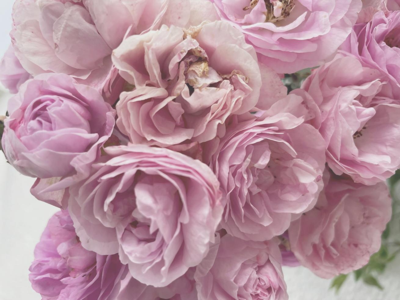 Floral workshop with bouquet designs